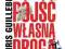 Nie bój się pójśc własną drogą - Guillebeau Nie bój się pójśc własną drogą - Guillebeau