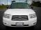 BŁOTNIK PRZEDNI NOWY SUBARU FORESTER 05-07 BŁOTNIK PRZEDNI NOWY SUBARU FORESTER 05-07