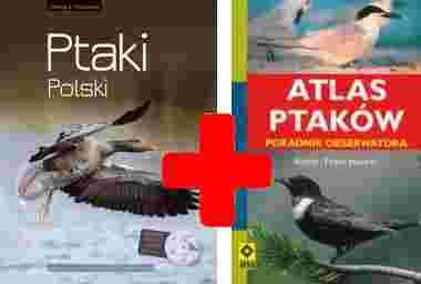 ATLAS PTAK W POLSKICH visual data 8