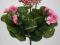 Pelargonia-sztuczne kwiaty jak żywe od Amidex
