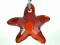 EST zawieszka charms Swarovski Starfish REDM SF17