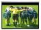 Euro 2012 Ekran Dual Screen do PROJEKCJI MECZU