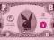 Playboy (Dollar) - plakat 61x91,5 cm