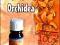 ORCHIDEA - olejek zapachowy o trwałym aromacie