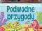 Podwodne przygody. Książka z magnesami