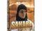 BEAR GRYLLS (SZKOŁA PRZETRWANIA) SAHARA (2 DVD)