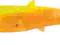 PROLOGIC Guma CANNIBAL SHAD Orange Glow 6cm