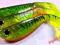 RIPPER KOPYTO BERKLEY PULSE SHAD 14 CM FI -KILLER-