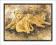 Plakat obraz 50x40cm WGX-3896 FAMILY OF LIONS (LM