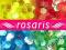 rosaris - HOLOGRAMY MINI plastry miodu POJEMNICZEK