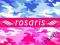 rosaris - masa MORO - magia kolorów - POJEMNICZEK