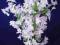 Piękny biało fioletowy bez,sztuczne kwiaty