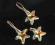 Swarovski Starfish 16mm Komplet Srebro Rodowane