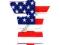 TUNING - TANK PAD NAKLEJKA NA BAK WZÓR FLAGA USA