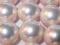 perły seashell różowe 12 mm 1 szt