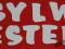 Napis SYLWESTER styropian - Nowy Rok - dekoracja