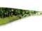 LUNKER CITY FIN-S SHAD 1,75" - #007 MELON PEP