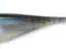 LUNKER CITY FIN-S SHAD 3,25" - #116 SMELT