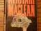 *******ALISTAIR MACLEAN -STACJA ARKTYCZNA ZEBRA