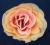 Piękna różowo-pom róża,sztuczne kwiaty