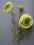 Ekskluzywne sztuczne kwiaty- ANEMON zielony 189