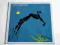 Steve Winwood - Arc Of A Diver ( Lp ) Super Stan