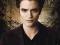 Twilight New Moon (Edward) - plakat 61x91,5 cm
