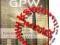 GPW I - Gielda Papierow Wartosciowych w Praktyce