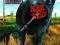 BLINK 182 - DUDE RANCH CD(FOLIA) ################