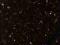 Płytki granitowe STAR GALAXY - 61x30,5x1 cm