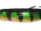 Rapala Minnow Spoon RMS08 P 8cm 22g antyzaczep