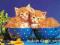 Nowe puzzle 500 Castorland C51212 Kitten in Bowls