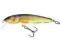 Salmo Minnow 6 F RR