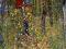 PROMOCJA DIGI ART Gustav Klimt OGRÓD WIEJSKI 70x70