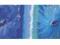 Plakat obraz 100x50cm WGX-6071 BLUE FLOWERS (LM)