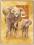 Plakat obraz 60x80cm WGX-8570 MOTHER ELEPHANT WITH
