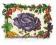 Plakat obraz 30x24cm WGX-9145 CABBAGE (LM)