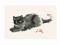 Plakat obraz 70x50cm WGX-9561 ORIENTAL CAT IV (LM)