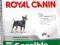 ROYAL CANIN MINI SENSIBLE - 4kg.