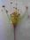 Ekskluzywne sztuczne kwiaty AGAPANTUS WYSOKI 1161