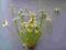 Ekskluzywne sztuczne kwiaty AGAPANTUS WYSOKI 1162