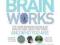 Brainworks: The Mind-bending Science of How You Se