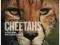 Face to Face with Cheetahs (Face to Face)