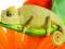 Kameleon, szał barw - fototapeta 183x254 cm
