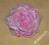 -MARGUT- Gumka broszka Kwiat Róża JASNY RÓŻ
