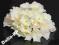 Hortensja biała Główki kwiatowe DRUT GRATIS