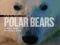 Face to Face with Polar Bears (Face to Face with A