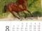 Kalendarz 2012 Mini Horses - Helma