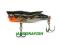 WOBLER STORM HOPPER POPPER 4cm /2g/FL SZCZUPAK