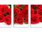 Obrazy wieloczęściowe - KWIATY - 120x60 nf5 róża